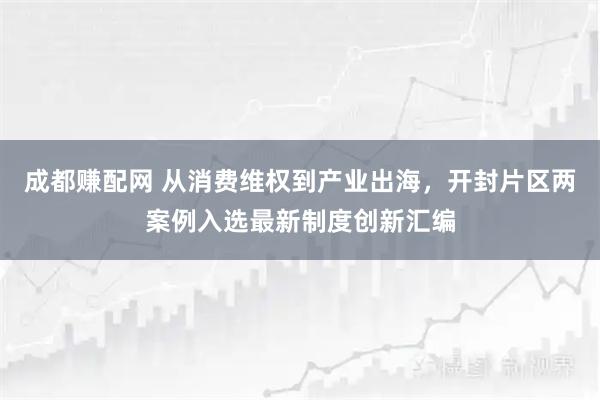 成都赚配网 从消费维权到产业出海,开封片区两案例入选最新制度创新汇编