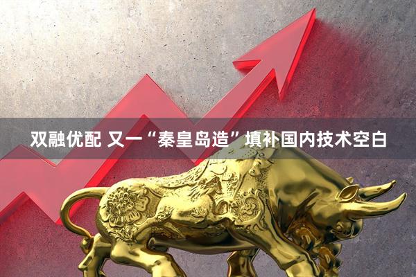 双融优配 又一“秦皇岛造”填补国内技术空白