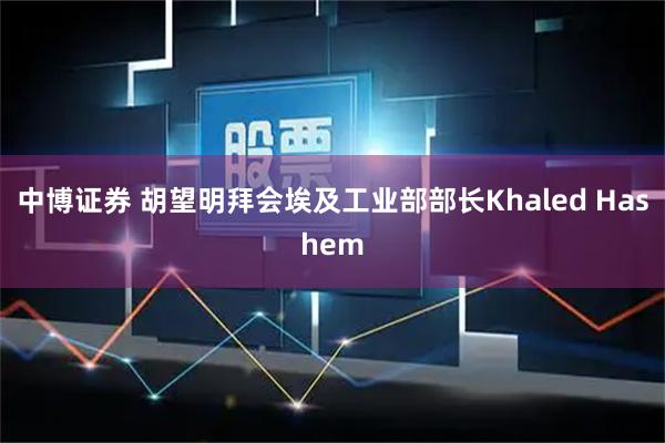 中博证券 胡望明拜会埃及工业部部长Khaled Hashem