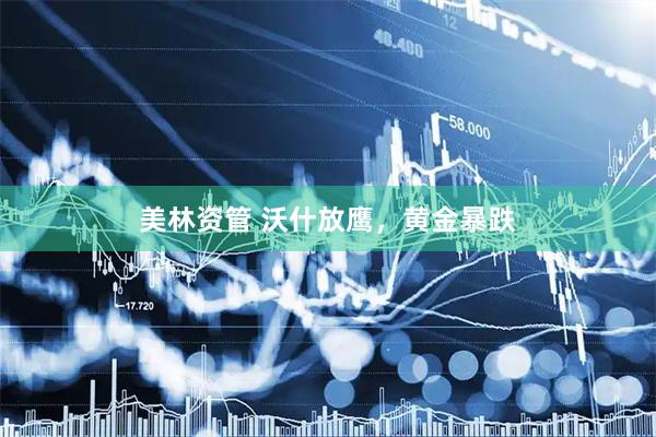 美林资管 沃什放鹰，黄金暴跌