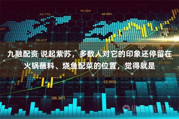 九融配资 说起紫苏，多数人对它的印象还停留在火锅蘸料、烧鱼配菜的位置，觉得就是